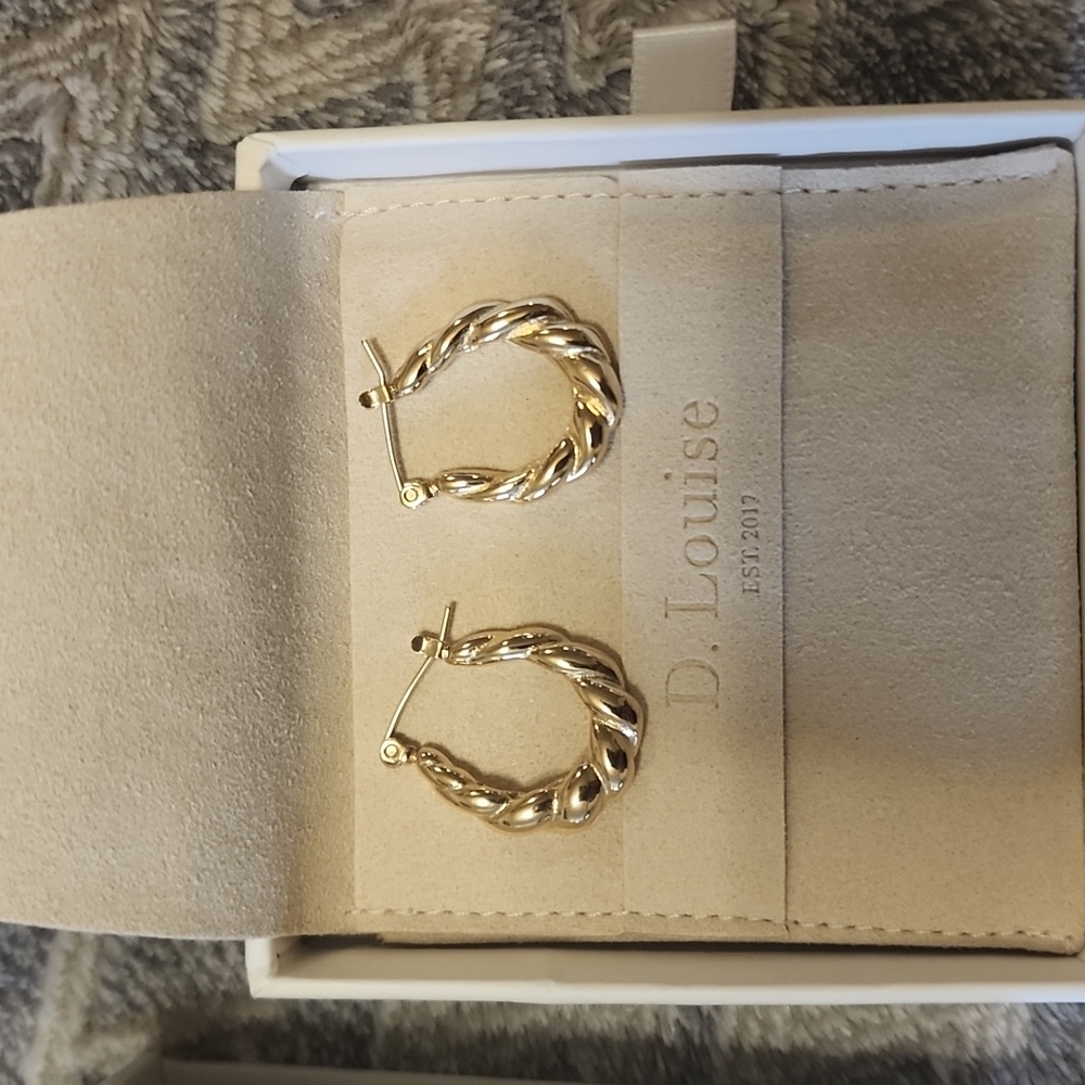 Stainless Steel with 14k gold PVD coating earrings